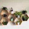 Hexagon Wall Shelves