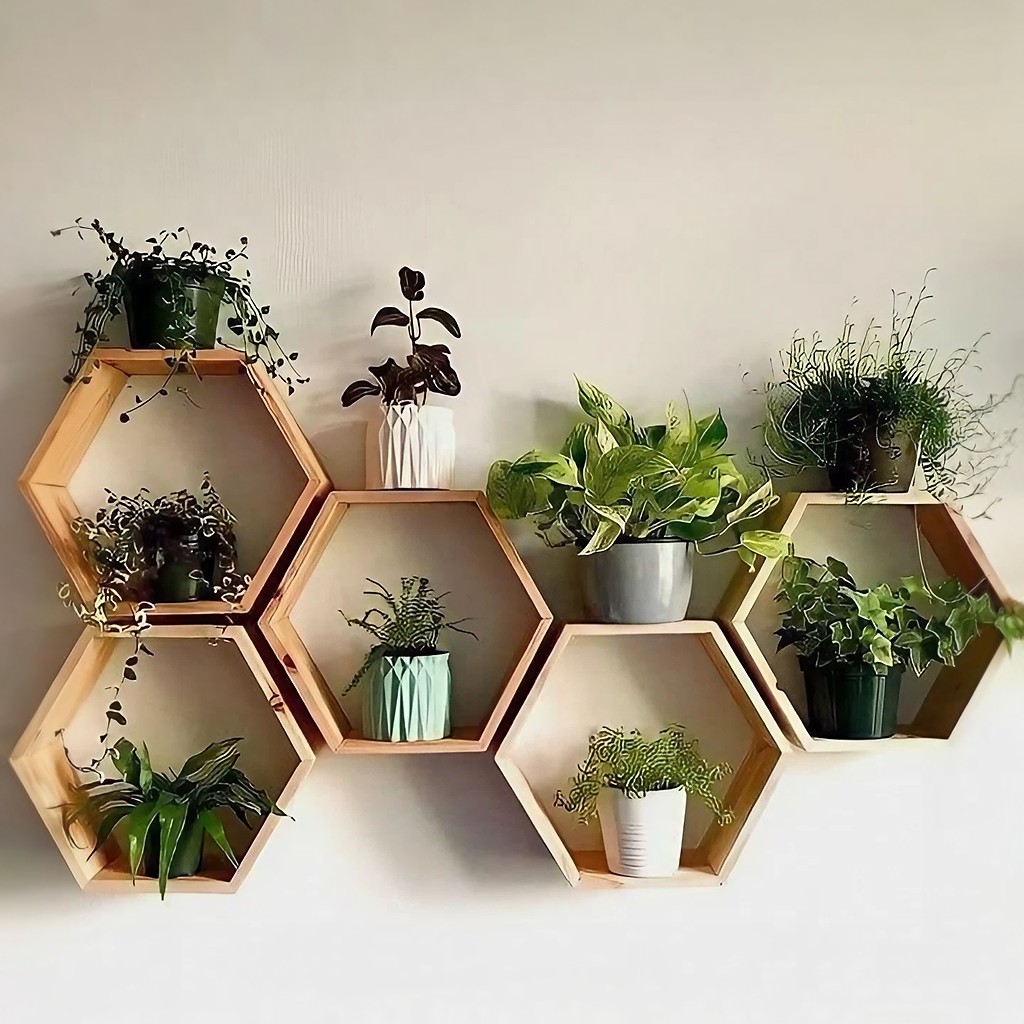 Hexagon Wall Shelves